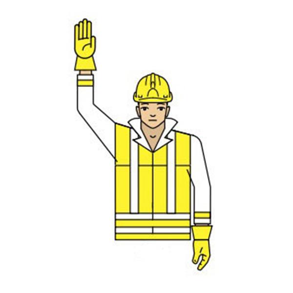 Traffic Marshal
